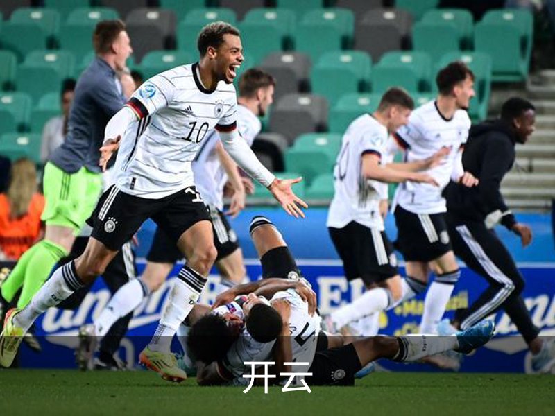 开云概况